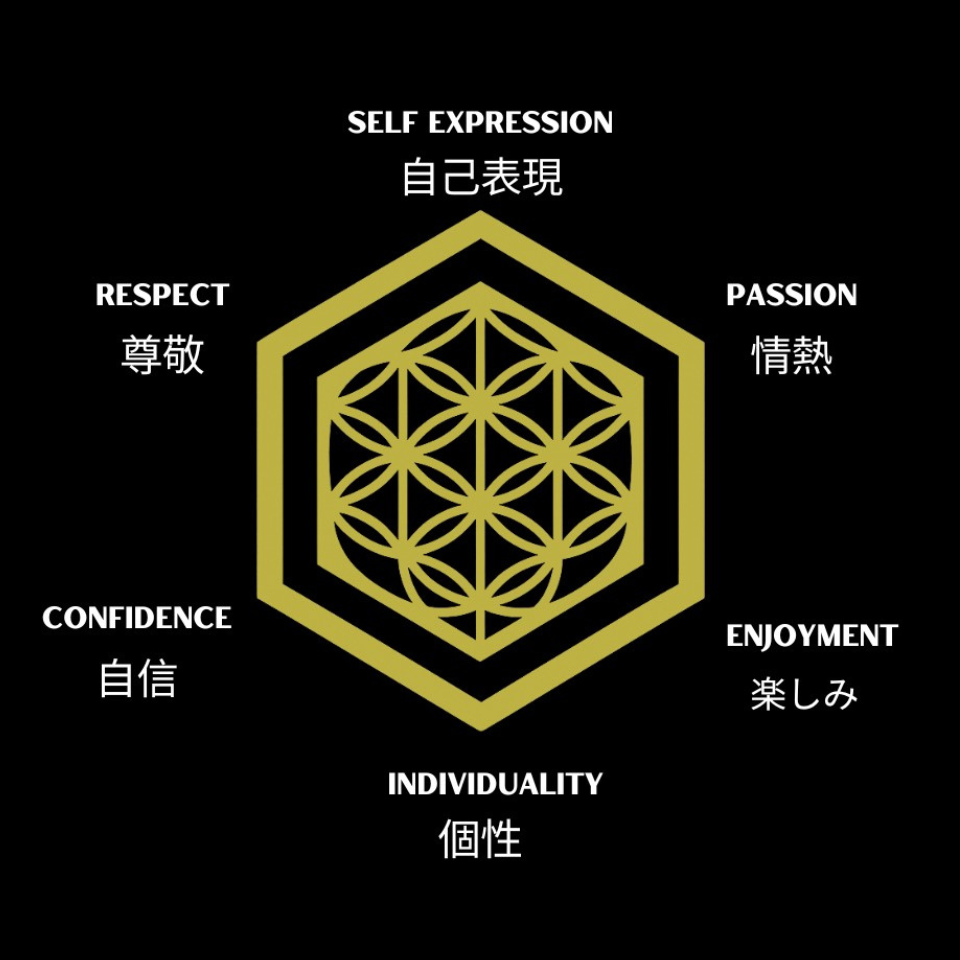 FSDM 6 Values — Sacred Geometry